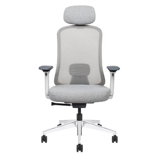 Mesh Ergonomic High Back Desk Chair with 4D Adjustable Armrests & 1D Lumbar Support