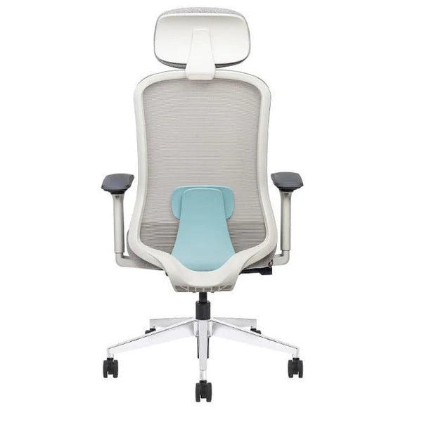 Mesh Ergonomic High Back Desk Chair with 4D Adjustable Armrests & 1D Lumbar Support