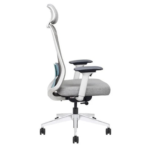 Mesh Ergonomic High Back Desk Chair with 4D Adjustable Armrests & 1D Lumbar Support
