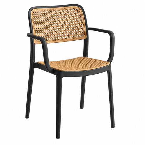 Chair for Cafeteria | Arm Chair | Accent Chair for Living Room Home, Bedroom, Cafe and Hotels | Black