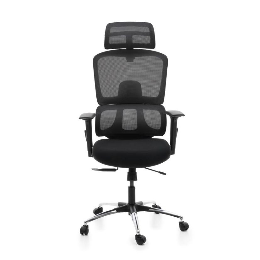 High Back Mesh Office Chair with Headrest & Lumbar Support | Adjustable Swivel Computer Chair with Wheels | Executive Work From Home Chair (Black)